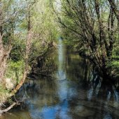 MESTO JELŠAVA: Rieka Muráň