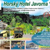 HORSKÝ HOTEL JAVORNA