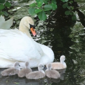 ZOO KOŠICE: 