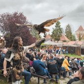 MESTO BOJNICE: Sokoliari Aquila