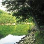MESTO BOJNICE: Park