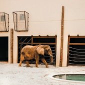 MESTO BOJNICE: Národná zoologická záhrada