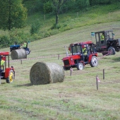 OBEC OSADNÉ: 