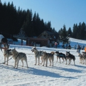 OBEC ORAVSKÁ LESNÁ: Ośrodek narciarski Orava SNOW