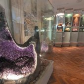 VÝCHODOSLOVENSKÉ MÚZEUM V KOŠICIACH: Expozícia Príroda Karpát