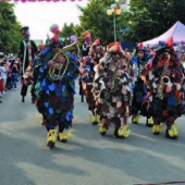 MESTO SENEC: Karneval