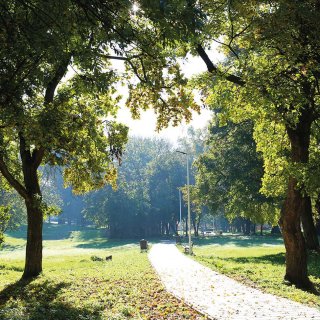 MESTO TORNAĽA: Mestský park Zoltánka