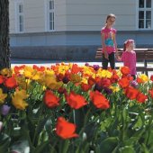 MESTO TURČIANSKE TEPLICE: Kvetinové záhony