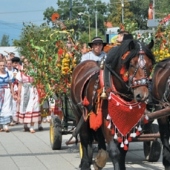 MESTO TURČIANSKE TEPLICE: -